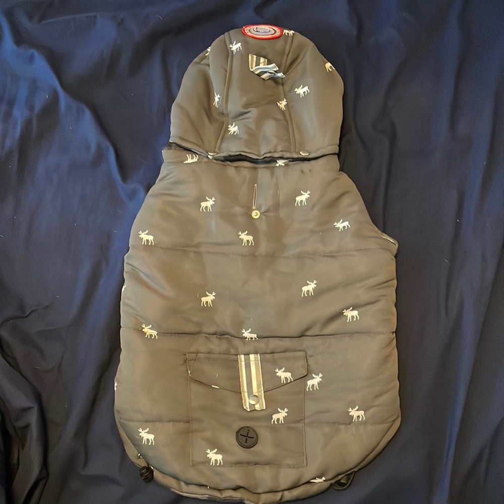 Insulated doggy jacket with removable hood